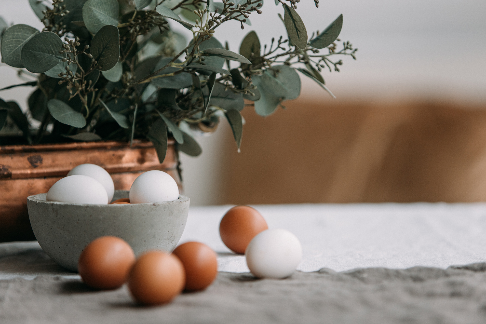 Eggs in the Bowl Near the Plant in a Vase